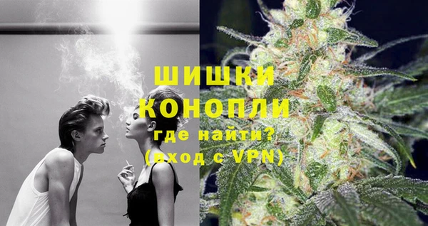 spice Туринск