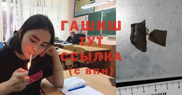 PSILOCYBIN Тында