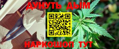 сатива Ирбит