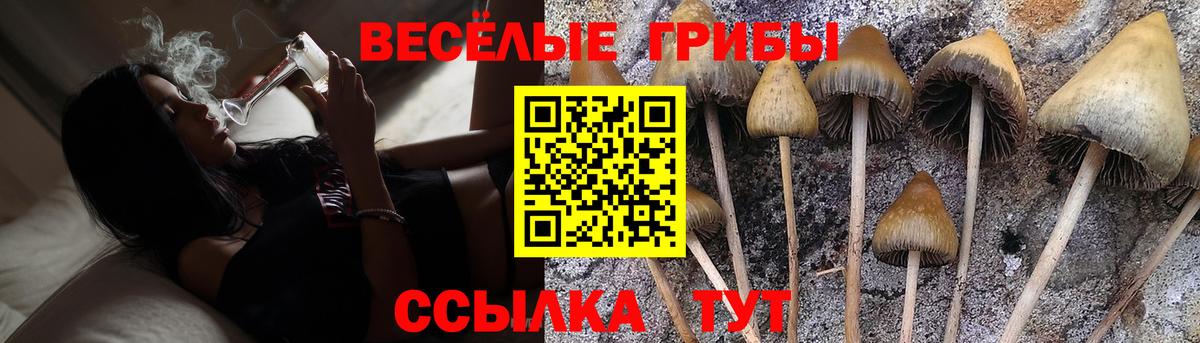 Аксай  Псилоцибиновые грибы ЛСД  Вход с VPN 