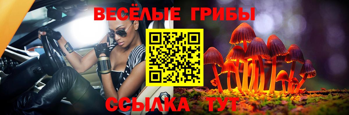 Галлюциногенные грибы Cubensis Аксай