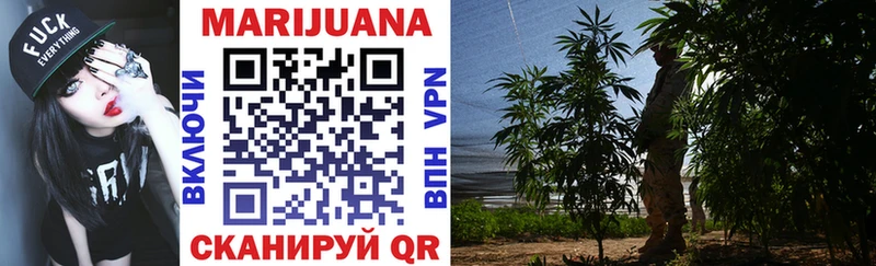 Канабис SATIVA & INDICA OMG зеркало Аксай